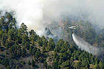 Incendio forestal en la zona de Cueva Grande, en la localidad grancanaria de San Mateo