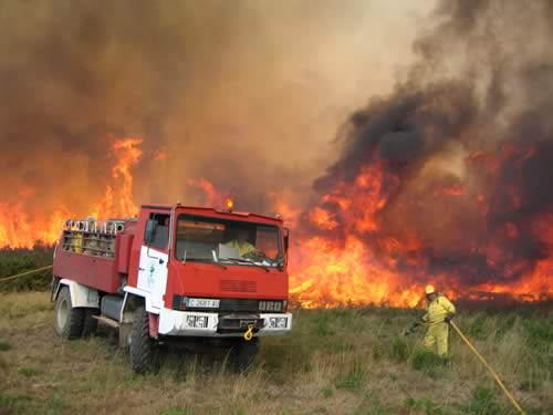Detenido un sospechoso de provocar 93 incendios forestales en Cerdedo