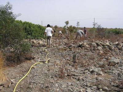 Repoblación forestal en Juncalillo del Sur el pasado 7 de Octubre 2006