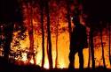CANARIAS. Medio Ambiente destina 200.000 euros a la isla de El Hierro para afrontar los gastos del incendio sufrido por la isla en septiembre