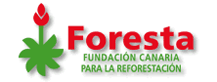 La reforestación, en peligro por negligencia del Gobierno canario