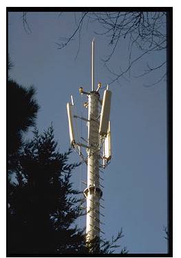 Los operadores de telefonía aseguran que las antenas "no dañan la salud"