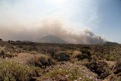 Efectivos majoreros apoyan las labores de extinción del fuego en Tenerife