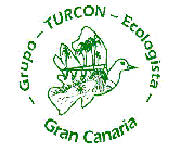 TELEGRAMA DEL COLECTIVO TURCON