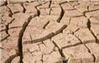 El 64 por ciento de Gran Canaria está en riesgo grave de sufrir la desertificación