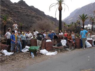 50 voluntarios limpian el palmeral de Veneguera