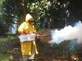Vecinos de Mogán alertan del uso de un herbicida tóxico para fumigar el barranco