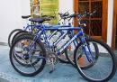 Sabroso anima al gobierno local a que inicie ya el servicio de préstamo de bicicletas para uso público