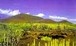 El Cabildo de Tenerife destina 175.301 euros a la ampliación de la Reserva Natural del Malpaís de Güímar