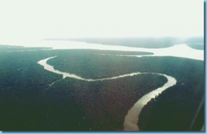 Brasil crea un fondo contra la deforestación de la Amazonia