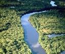 Energía-Brasil: Biodiésel iluminará comunidades amazónicas