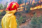 El Cabildo de Gran Canaria evita los incendios forestales este verano al sofocar unos 60 conatos
