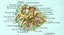 Gobierno canario aplaude declaración reserva marina La Gomera